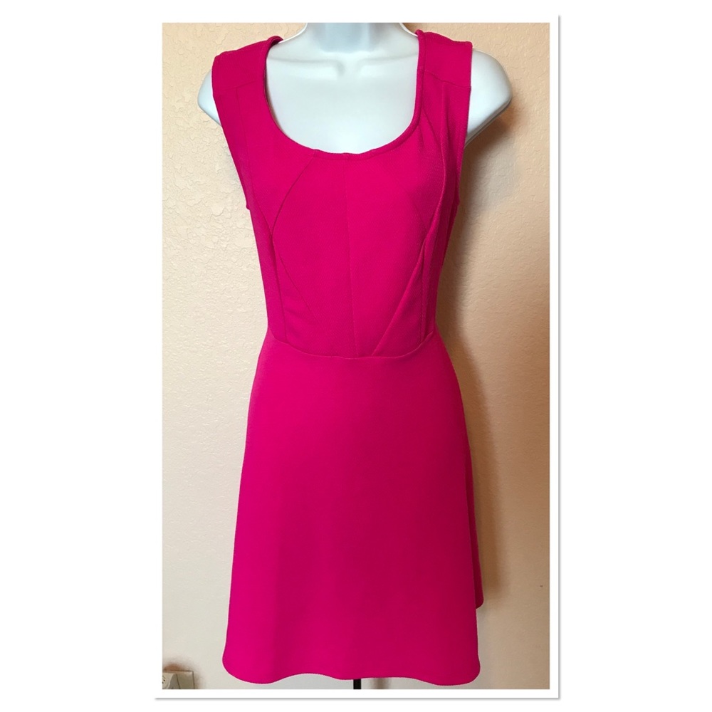 Gianni Bini Bright Pink Fit and Flare Dress Large